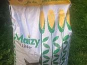 Review: Maizy Litter