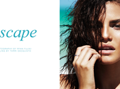 Nohemi Hermosillo Ryan Fujiki “escape”