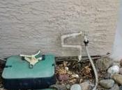 Water Leak House, What About Termite Warranty?