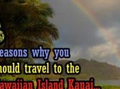Reasons Should Travel Hawaiian Island Kauai