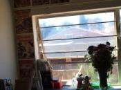 Instant Life Captured Eternity