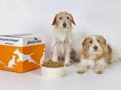 Promo Code Customizable Petbrosia Food!