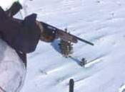 Aerial Hunter Killing Washington Wolves