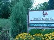 Christian Farm Owners Fined $13,000 Declining Host Lesbian Wedding