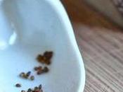 Rosemary Seeds- Healthy Long Hair