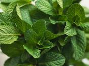 Benefits Peppermint Leaves Skin, Face, Hair Health