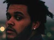 Video Weeknd King Fall