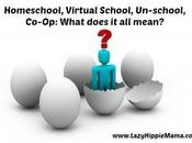Homeschool, Virtual School, Un-school, Co-Op: What Does Mean? (Part