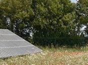 Good Energy Propose Solar Farm Near Wareham Purbeck