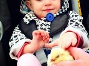 Zoey Meets Chick 242/365