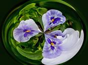 Post Processing Abstracts