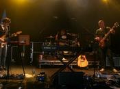 REWIND: Dodgy 'Grand English Tree'