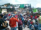 Guatemala: Mobilizing Against “Monsanto Law”